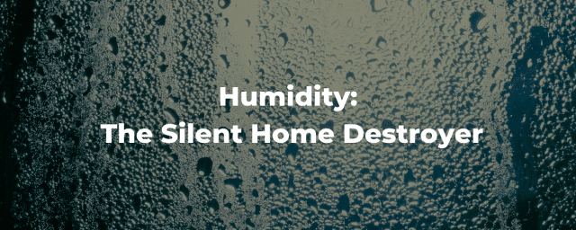 The Effects of Humidity in Your Basement